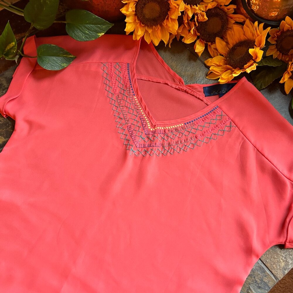 Blue Rain SS Top W/Embroidery Trim
